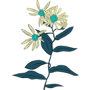 download Aster Conspicuus clipart image with 135 hue color