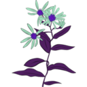 download Aster Conspicuus clipart image with 225 hue color