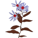 download Aster Conspicuus clipart image with 315 hue color