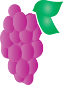 Grapes Icon