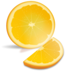 Orange Slice