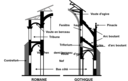 Comparaison Art Roman Art Gothique