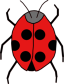 Ladybug