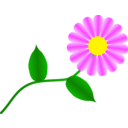download Daisy Fuchsia clipart image with 0 hue color