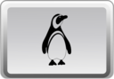 The Linux Key