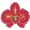download Orchid clipart image with 45 hue color