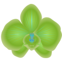 download Orchid clipart image with 135 hue color