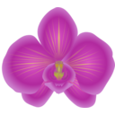 download Orchid clipart image with 0 hue color