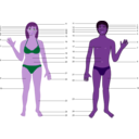 download Human Body Both Genders With Numbers clipart image with 270 hue color
