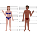 download Human Body Both Genders With Numbers clipart image with 0 hue color