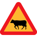 download Warning Cows Roadsign clipart image with 0 hue color