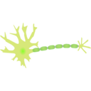 download Single Neuron clipart image with 45 hue color