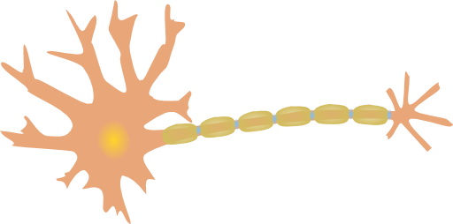 Single Neuron