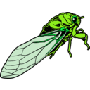 download Cicada clipart image with 90 hue color