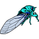 download Cicada clipart image with 180 hue color