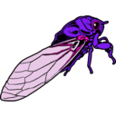 download Cicada clipart image with 270 hue color