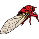 download Cicada clipart image with 0 hue color