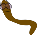 Worm