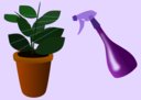Caring For Houseplants