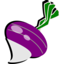 download Turnip clipart image with 0 hue color