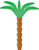 Palm