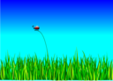 Grass With Bug