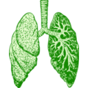 download Lungs clipart image with 90 hue color