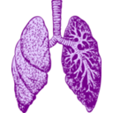 download Lungs clipart image with 270 hue color