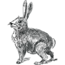 download Rabbit clipart image with 180 hue color