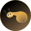 Snail Illustration