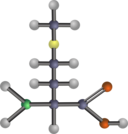 Methionine Amino Acid