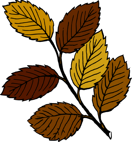 Autumn Leaves On Branch