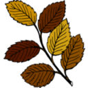 download Autumn Leaves On Branch clipart image with 0 hue color