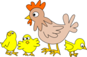 Hen With Three Chicken
