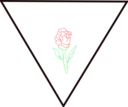 Rosa Y Triangulo