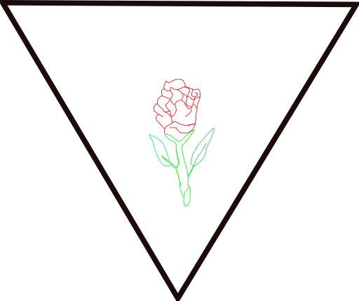 Rosa Y Triangulo