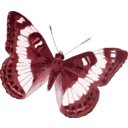 download Limenitis Trivena clipart image with 315 hue color