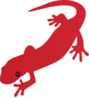 Salamander