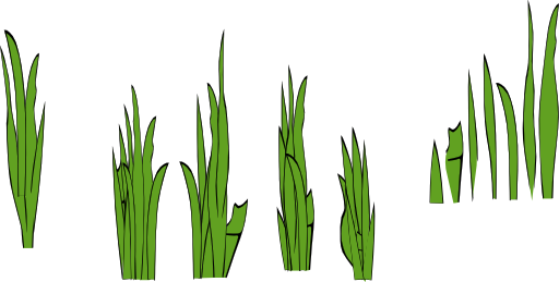Grass Blades And Clumps