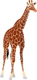 Another Giraffe