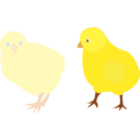 download Chicks Figure Color clipart image with 0 hue color