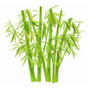 download Bamboo clipart image with 0 hue color