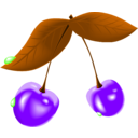 download Cherry clipart image with 270 hue color