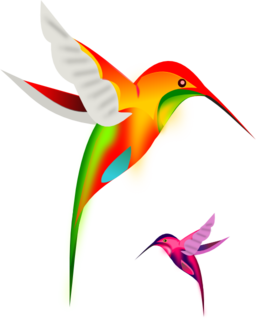 Colibri Birds