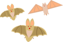 Bat