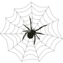 download Spider Web clipart image with 45 hue color