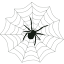 download Spider Web clipart image with 90 hue color