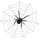 download Spider Web clipart image with 135 hue color