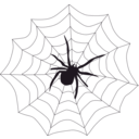 download Spider Web clipart image with 270 hue color