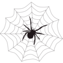 download Spider Web clipart image with 315 hue color